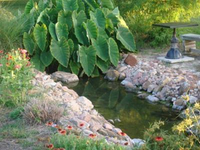 Messina Hof Winery And Resort (Adults Only) Bryan Esterno foto